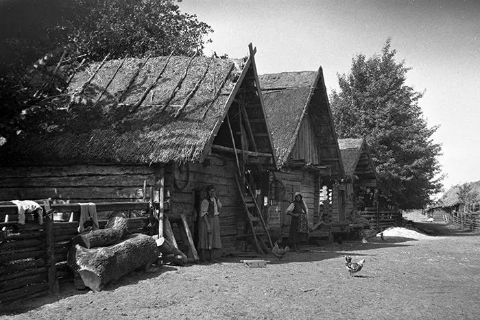 Улица деревни Озерницы