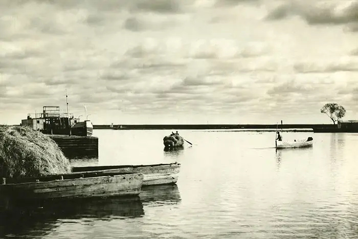 Транспорт и хлеб жителей берега Припяти