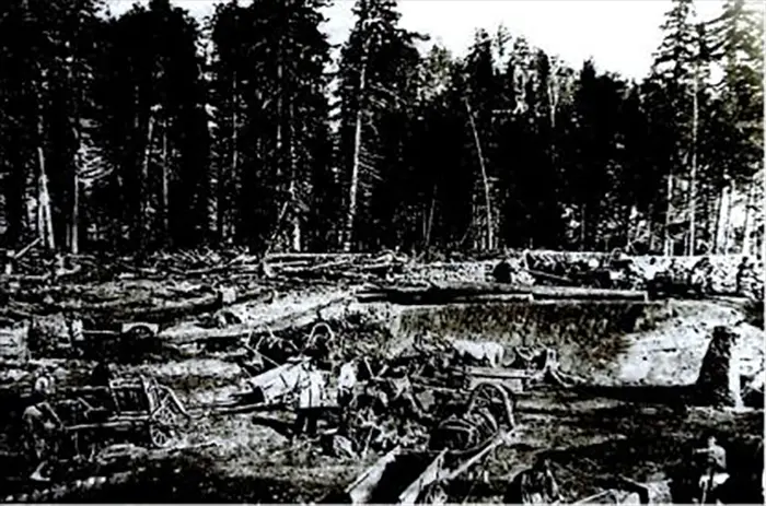 Участок лесозаготовки