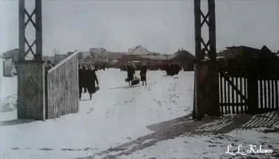 Базар на нынешней пощади Ленина 1956 год