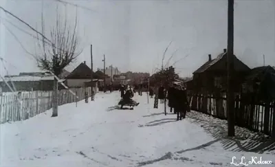 Улица торговая 1956 год