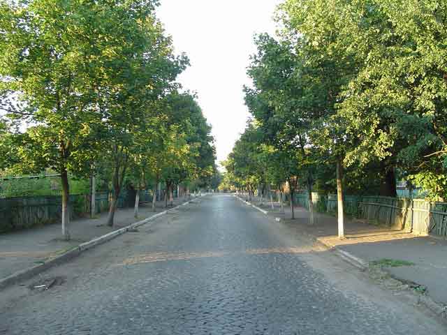 17 ��������.